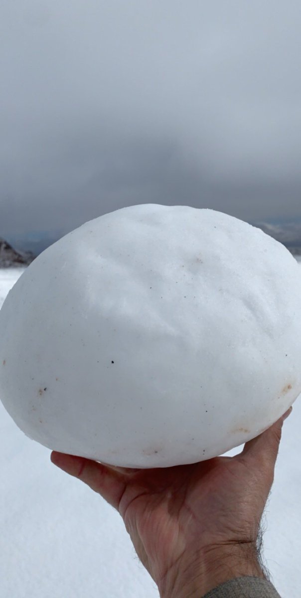 وحش الثلج | زياد الغرير (@zeyad_0505) on Twitter photo 