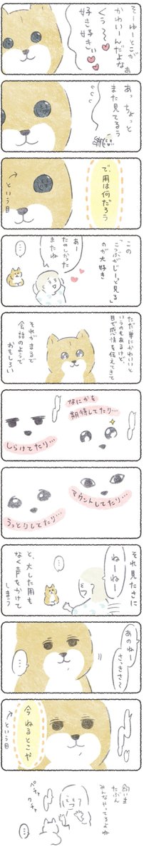 毎週月よう日はこつぶ新作の日?

これってもちろん最初から出来てたわけじゃなく、
毎日顔をあわせてるうちにわかるようになりました?

2本立て。つづきはこちらから→
https://t.co/CfX0ubMUZD
(14日AM10時まで無料)

よろしくお願いします!?

#エッセイ漫画 #柴犬 
