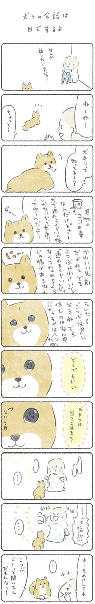 毎週月よう日はこつぶ新作の日?

これってもちろん最初から出来てたわけじゃなく、
毎日顔をあわせてるうちにわかるようになりました?

2本立て。つづきはこちらから→
https://t.co/CfX0ubMUZD
(14日AM10時まで無料)

よろしくお願いします!?

#エッセイ漫画 #柴犬 