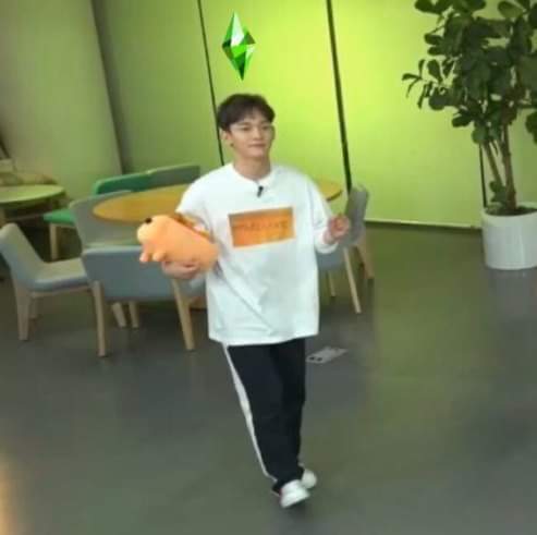 BtchBusan's tweet image. No sabes hacer una carnita asada pero sí un bebé. Eres la mamada mijo Jongdae 

#EXO Chen