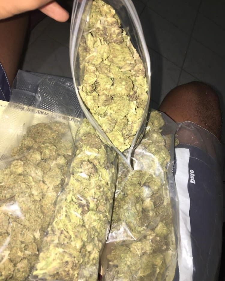 WeedPaname's tweet photo. Livraison à domicile 
Wickr//Weedparis123 
Inbox via Whatsapp 
👉 +33752308699.
Snap// : weed_France19 #paris6 #norddelafrance #suddelafrance #ouestfrance #paris9 #parisjetaime #parisiloveyou #restaurantpari #paris19 #paris18 #parisfrance #paris17 #paris11 #parismonamour https://t.co/teC2YCyQ0W