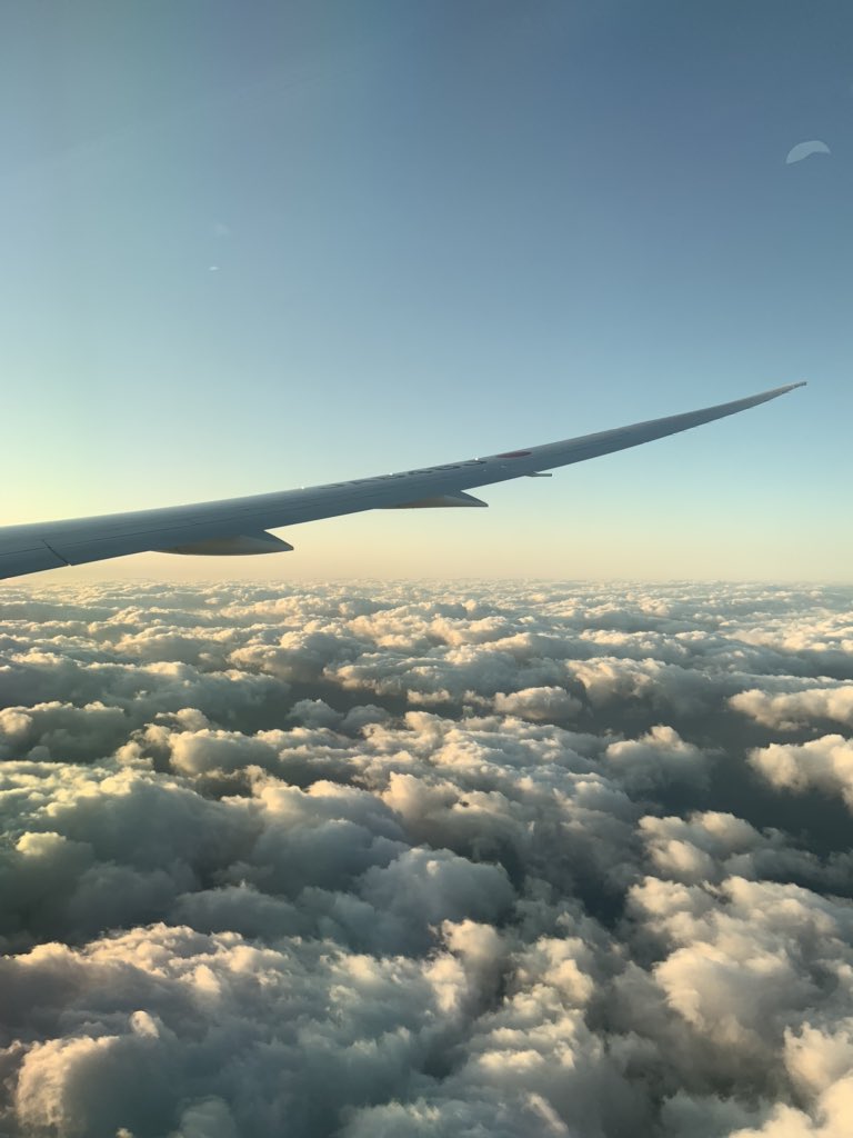 GoodDay01150633's tweet photo. 夕陽の中を福岡空港へ向けてゆっくり降下中✈️
#JAL
#JL323 https://t.co/5zIj3GepI8