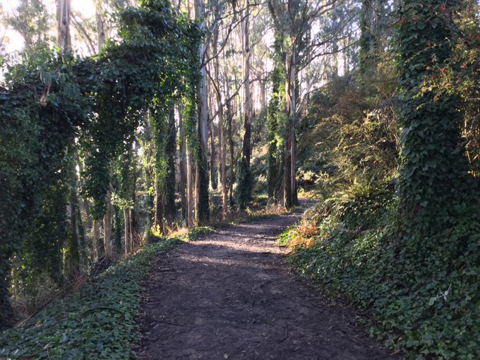 2 pic. #SFRC yesterday, 12 miles and ~2500' climbed. Beautiful day, started in Tennessee Valley Parking