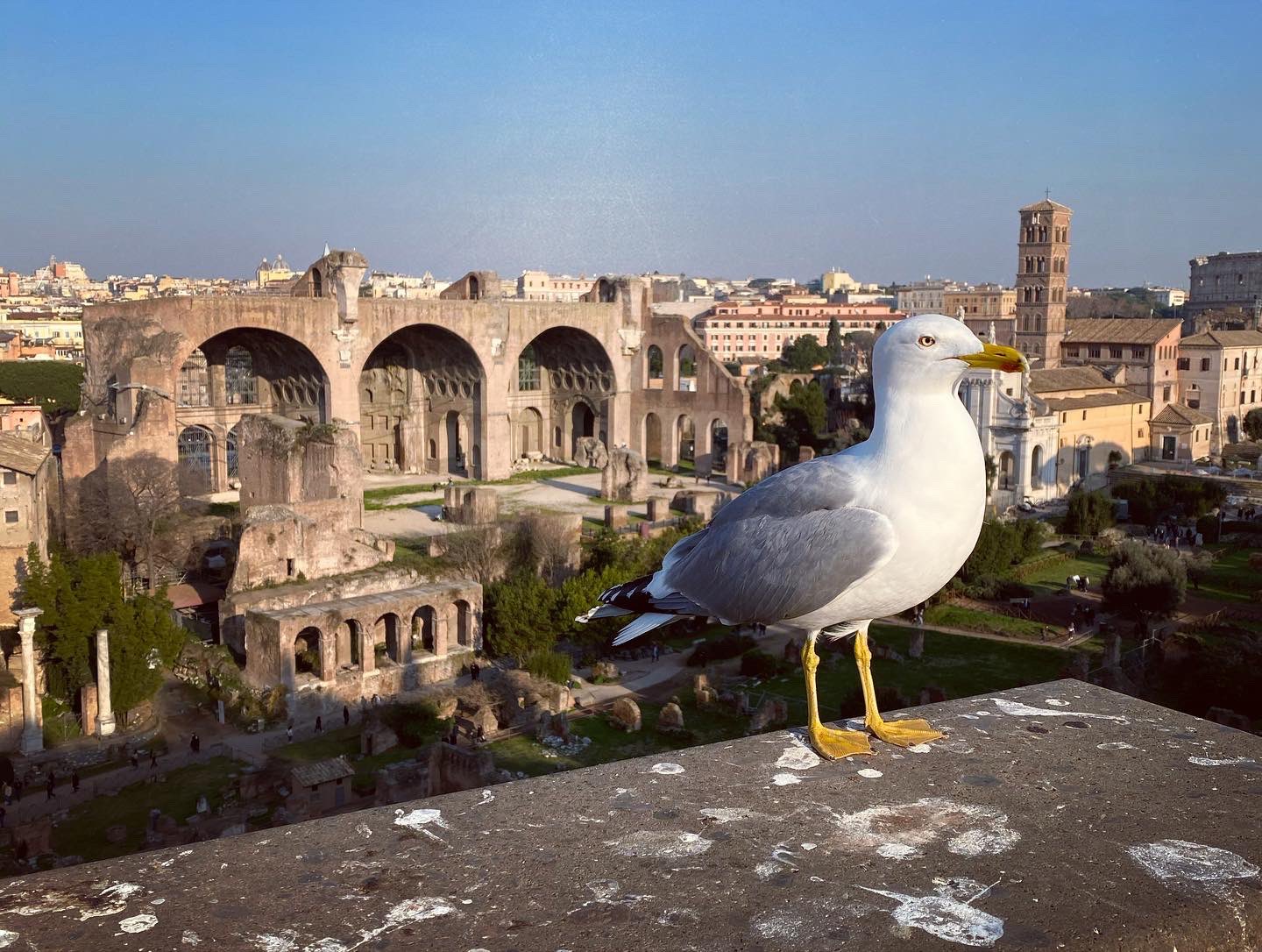 An Colosseum和roman Forum 俯瞰罗马城蛮震撼的https T Co 5usdg6zm28 Twitter