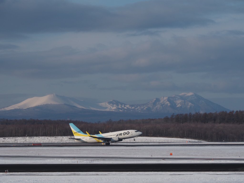 新着airdo 壁紙 美しい花の画像
