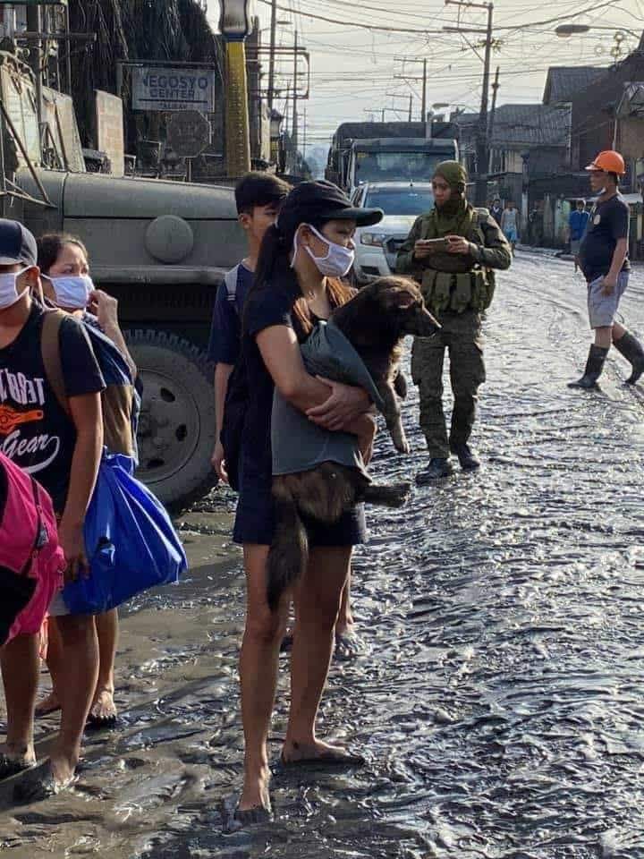 MyDoggoIsCrazy's tweet photo. Such a relief to see these people who genuinely care for their furbabies. They don't have a voice, they can't tell you how scared they are 💔😭
 #FaithInHumanity

https://t.co/V67Ln3luax

CTTO for the photos. https://t.co/oVfCFPDpC0