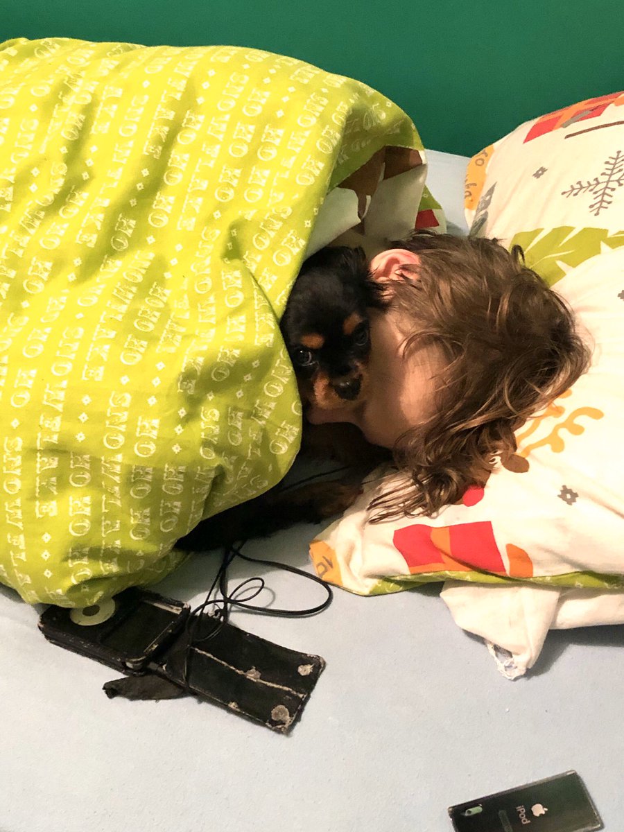 HeidiCavalier's tweet photo. Snuggles with master C this morning. I was meant to wake him up but decided to get into bed too! 💙🐾 https://t.co/xpp6uUGyZo