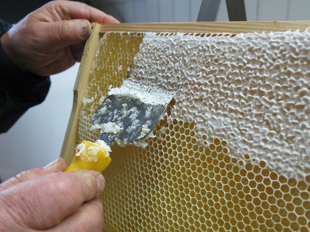 thebeekeeperman's tweet photo. We just enjoy keeping honey bees and really appreciate the work, work, work they do all day for us...  #howtostar... https://t.co/1q1qEYYPbp