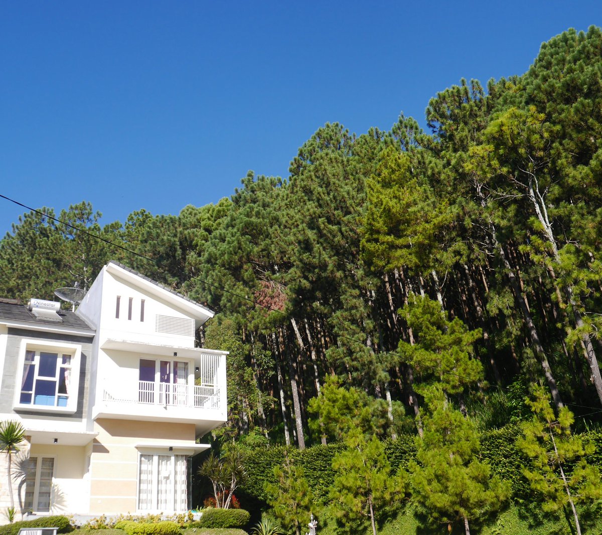 leonisecret's tweet image. Buat yang cari villa sekitar Batu, Malang, dengan suasana hutan pinus kayak di luar negeri, bisa ke sini👇

Ini villa kami, lokasinya di belakang Museum Angkut. 

Ada 2 kamar sampe 6 kamar dengan kolam.

Numpang promo yaa. Sukur-sukur dibantu RT/like. Thank you🙏