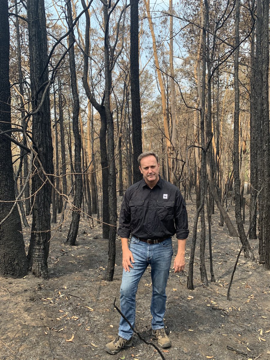 DermotOz's tweet photo. Visited bushfire impacted forests on NSW South Coast.  So bad.  Inspired by amazing stories about communities rallying together.    More stories tomorrow on @WWF_Australia new on ground projects committed in past 4 days to recover wildlife with $1m from our supporters https://t.co/zcPHTmwL8u