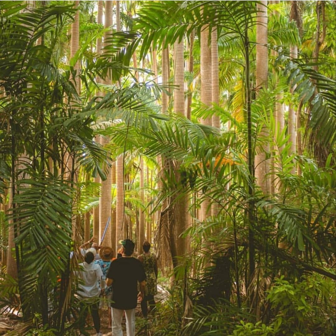 TheHolConcierge's tweet photo. Hike Yoga Breakfast at @nanikilushlife 😍

Start with a relaxing hour #hike through the beautiful forest, followed by an hour of #yoga flow before finshing your morning with a tasty breakfast. Every Sunday at 7am, booking essential to secure your spot 🇧🇧

Contact us now to book https://t.co/RuATPMs1K3