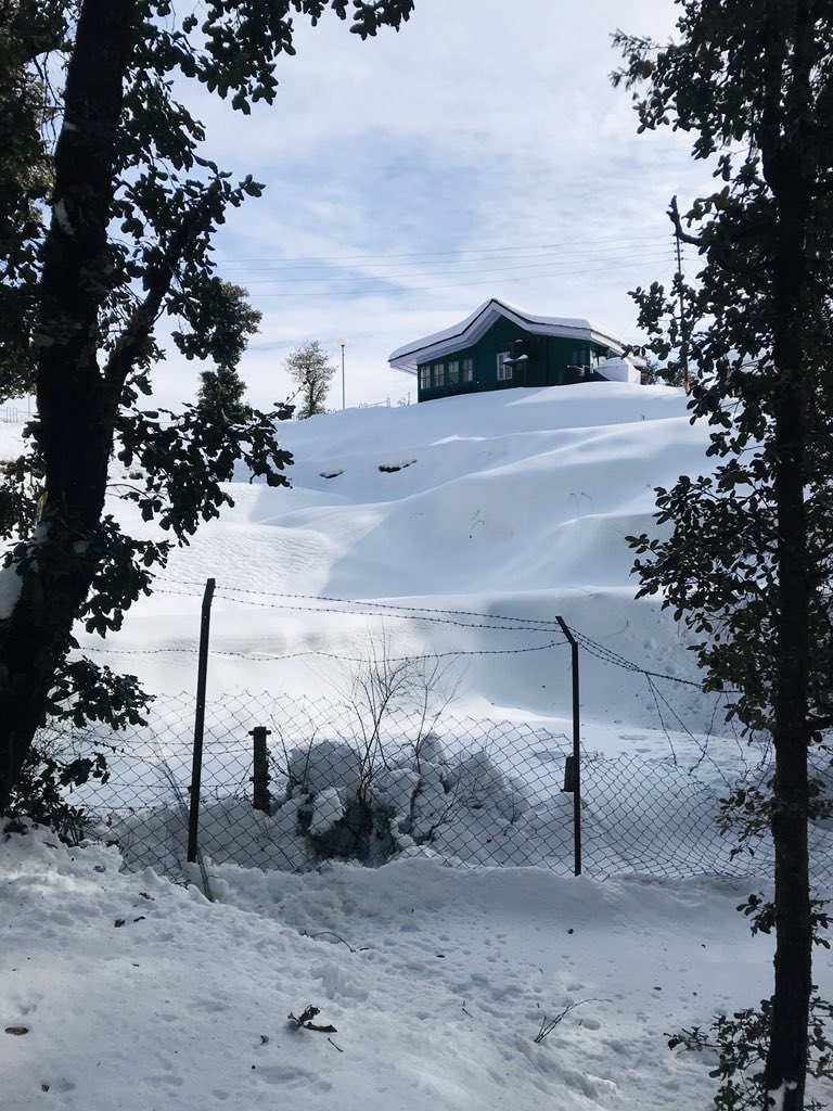 iarpittt's tweet photo. Kufri Zoo @tripoto @tourismgoi @hp_tourism @nature @shimlalife 
📸 12.01.2020 https://t.co/xjQjCv9H5T