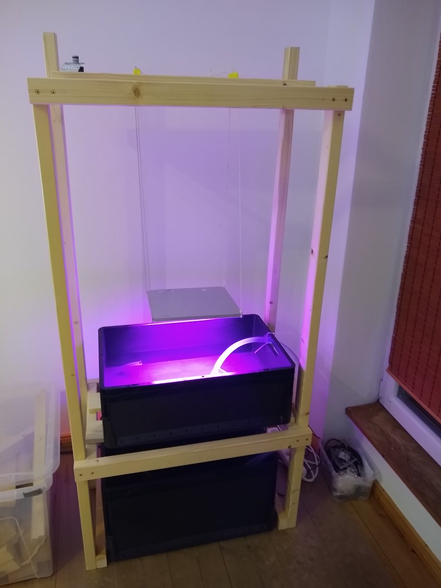 BenMarcusJones's tweet photo. First weekend #hacking on #aquaponics! Baby steps into nitrogen cycle chemistry, plants, and meanwhile learning/integrating automation via the @arm Cortex (similar to #Arduino) microcontroller architecture - any tips welcome! (How can I automate water testing?) https://t.co/Ysx4j4mnJP