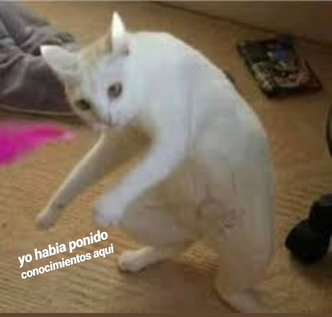 lydixpsico's tweet photo. yo estudiandome un tema y luego yendo a repasar el anterior para darme cuenta de que se me ha olvidado todo https://t.co/KE1kWqpFa5