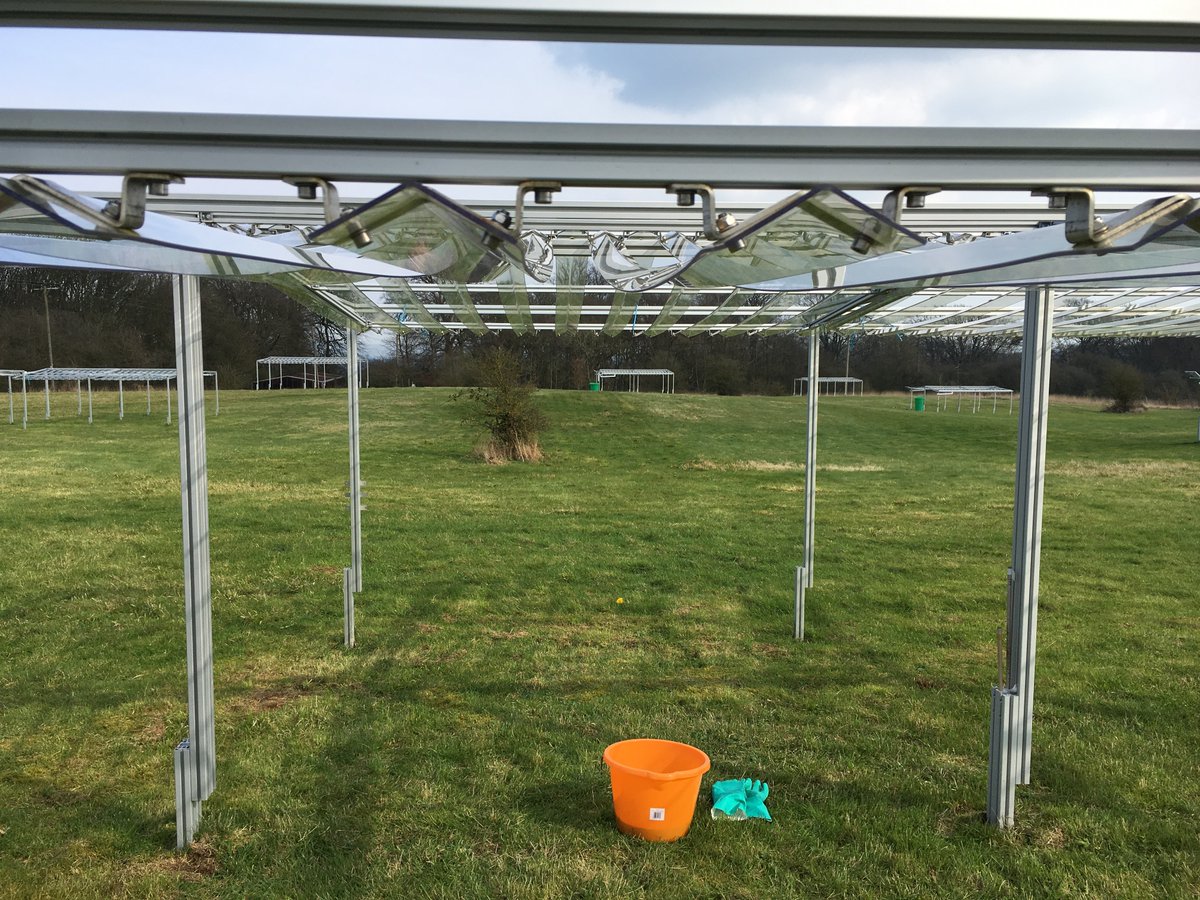 ECT_UK's tweet photo. ICYMI: See ECT's latest blog post from the RainDrop experiment, with thanks to Laura McManus & Andy Hector: https://t.co/IdHR6we5yk
@oxplantecology @OxfordPlants @WythamWoods @sara_lil_plants @Rob_SalGo @kmaseyk @Biology_OU @UniofOxford #LTER #DroughtNet #grasslands #ecology https://t.co/ekcim41Yjw