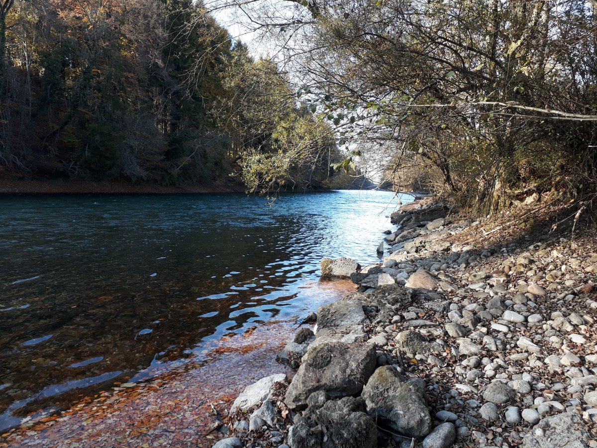 kanton_bern's tweet photo. Der Kanton Bern will den #Hochwasserschutz an der #Aare im Abschnitt Thalgut-Chesselau verbessern. Das Projekt liegt nun öffentlich auf. #Gerzensee @gerzensee #Wichtrach #Münsingen #muensingen https://t.co/qEqFg29yNX https://t.co/XhdZouYlq6