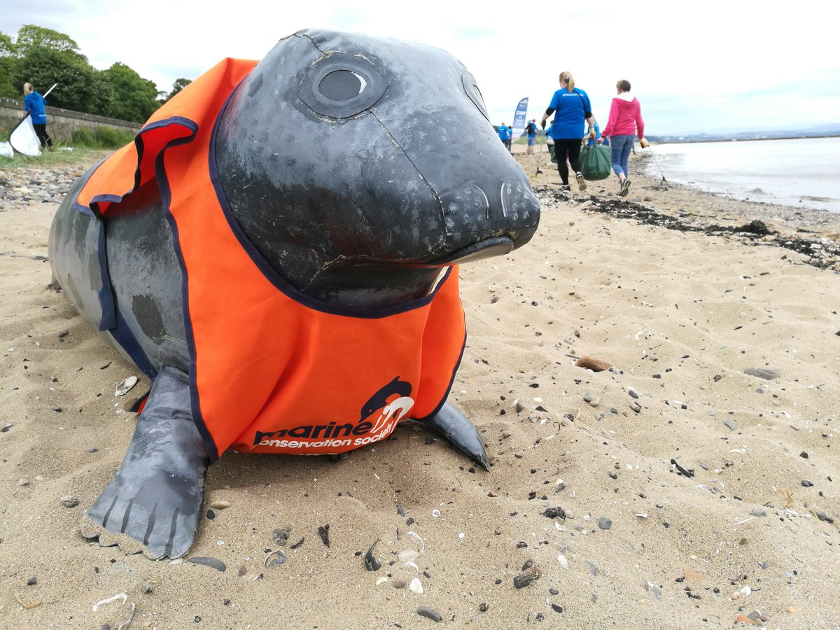 MCS inflatable seal in a high vis on Cramond beach during a beach clean