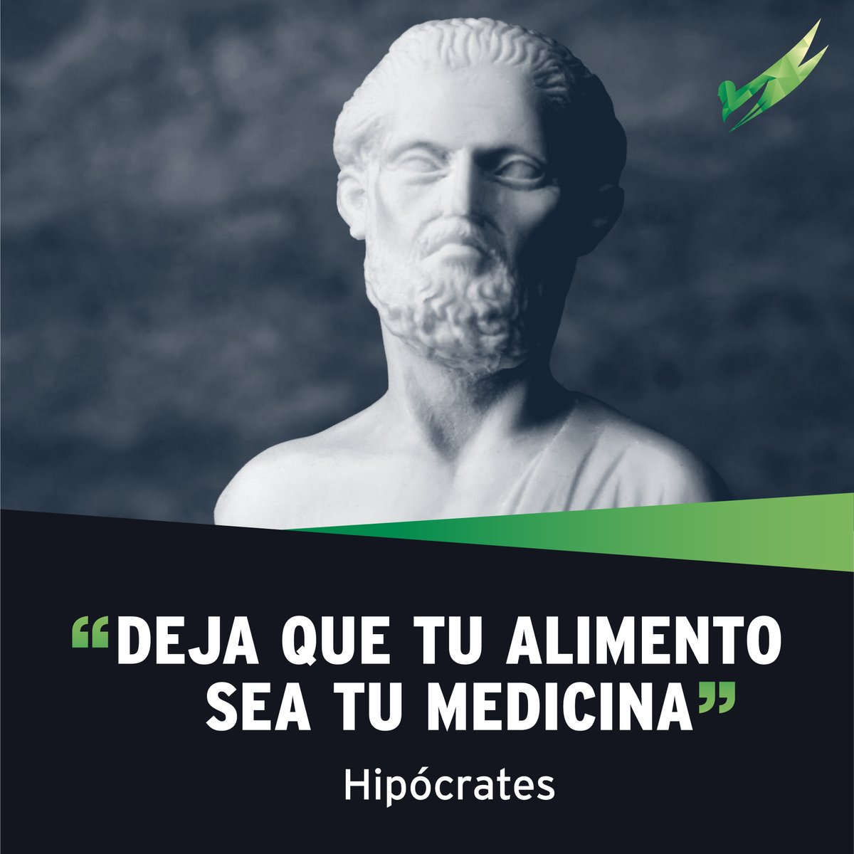 🍌🥑 Deja que tu alimento sea tu medicina 💊💊
.
.
.
.
.
#OrthosFormacion #Orthos #Wellness #Wellnessmotivation #fitnessmotivation #nutrition #nutriciondeportiva #nutricion #Hipocrates #frasemotivacional
