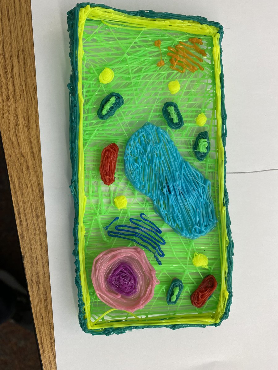 MsKramer_HES's tweet image. A sign of the changing times, build a cell a few years ago meant food cells or styrofoam...today it means 3D printing! #technologychanges @HeritageMiddle1 #TheHeritageWay