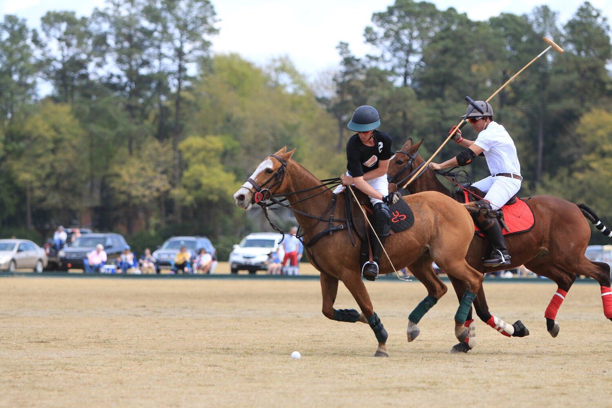 uscaikenpolo's tweet photo. Happy First Day of Classes for Spring Semester! #usca #uscaiken #uscapolo #aikenpolo #uscaikenpolo https://t.co/gcosHeDcwN