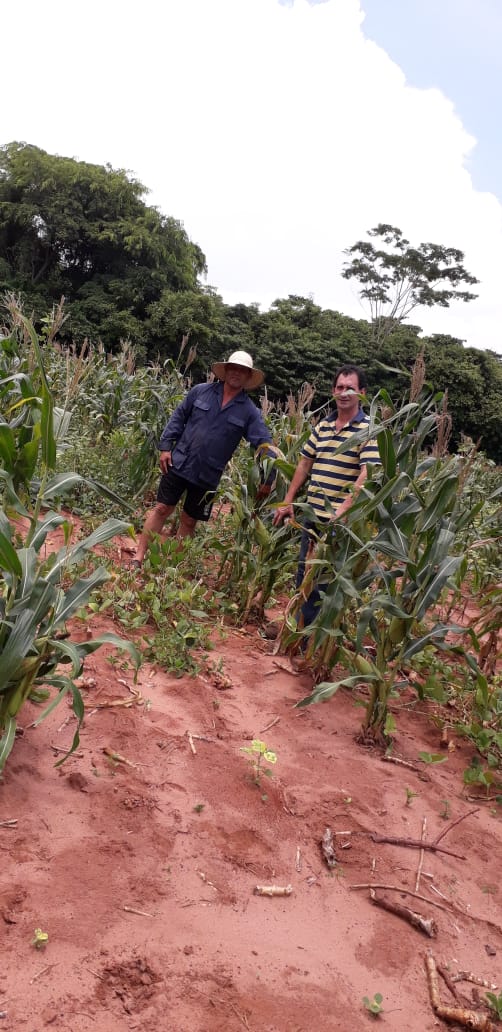 magparaguay's tweet photo. #CDASanPedro visita a finca del señor Domiciano Barrios. El productor tiene cultivos diversificados, rubros de renta y de consumo.

📍Colonia Republicano, distrito Santaní https://t.co/BDi43A5kzw
