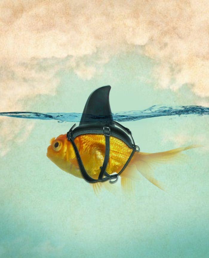 BE BRAVE
Even if you're not, pretend to be.

#MondayMotivation ☕