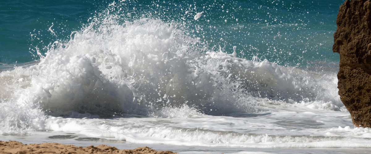 TModernGrandma's tweet image. Here are 10 quick tips on how to reduce Plastic waste

ow.ly/Rpy450xRrb5

#plasticfree #refusereducereuse #zerowasteliving