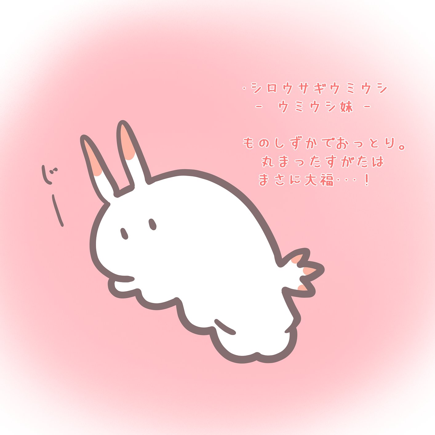 シロウサギウミウシ Twitter Search Twitter