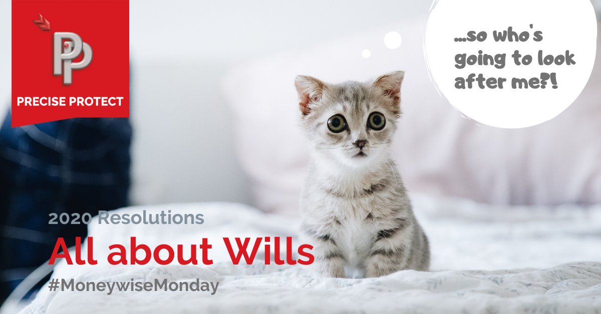 Precise Protect tweet media