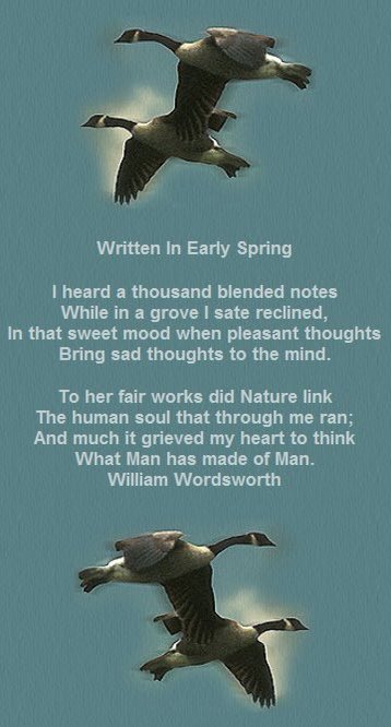 YNHallak's tweet photo. 🌸 Lines Written in Early Spring 🌷
If this belief from heaven be sent,
If such be Nature’s holy plan,
Have I not reason to lament
What man has made of man?
#WilliamWordsworth #Spring #romanticism #RomanticAge #MondayMotivation #MondayMorning #MondayMood #MondayVibes #poetry https://t.co/KC2zSY0kqi