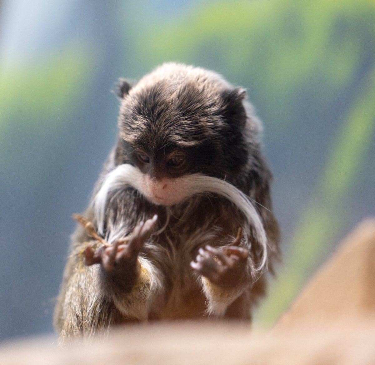 And just like that

*POOF*

Weekend. Gone.

📷: @comofriends