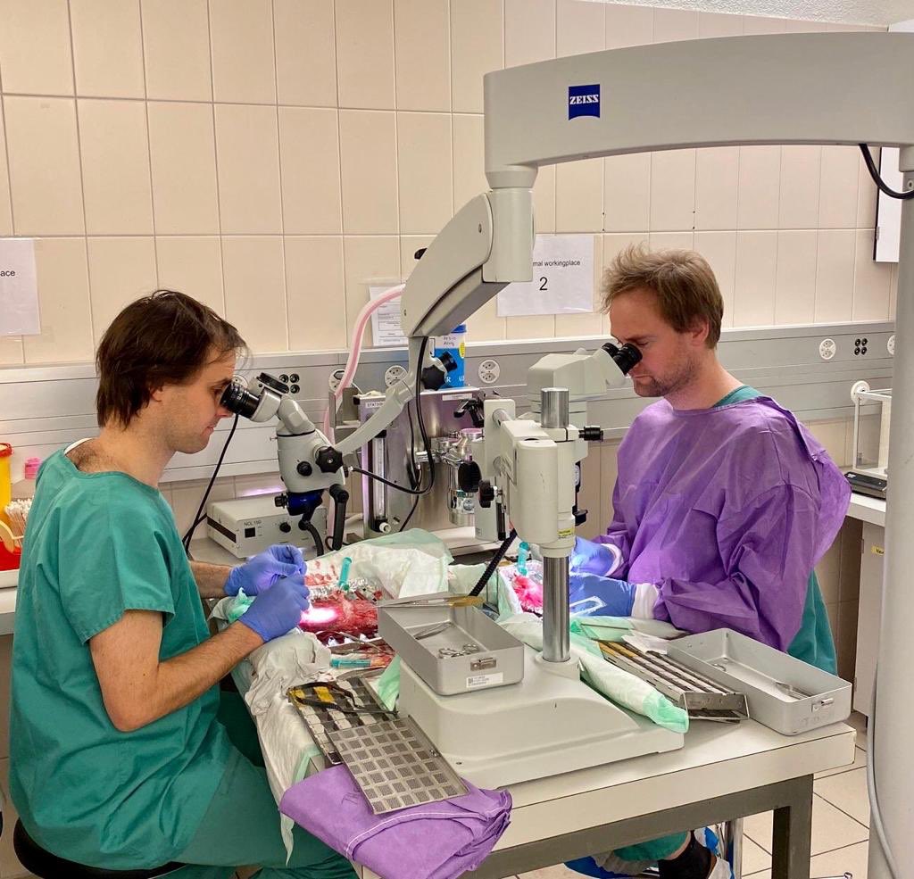 bypass2020's tweet photo. After #Bypass2020, the 1st Zurich Microsurgical Placenta Course was held at @Unispital_USZ under the lead of Dr G Esposito, Dr M Magaldi, and Prof L Regli. Young neurosurgeons from many countries participated, and it was a huge success.

#neurosurgery #bypass #placenta https://t.co/0S67yH1ayF