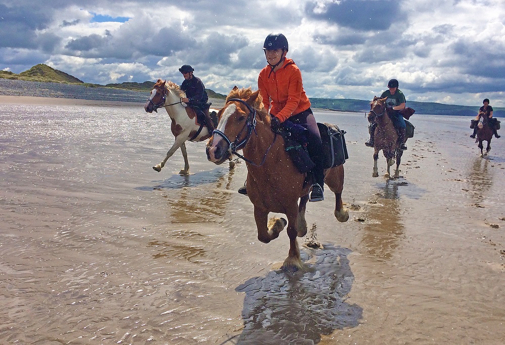 Equus Journeys tweet media