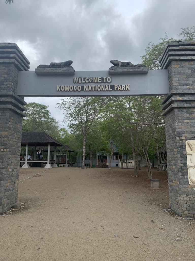 azizachmad's tweet photo. Reaching 10 feet in length and more than 300 pounds, Komodo dragons are the heaviest lizards on Earth. They have long, flat heads with rounded snouts, scaly skin, bowed legs, and huge, muscular tails.
#komododragon #komodonationalpark #explorekomodo https://t.co/2GNnzMqcNo