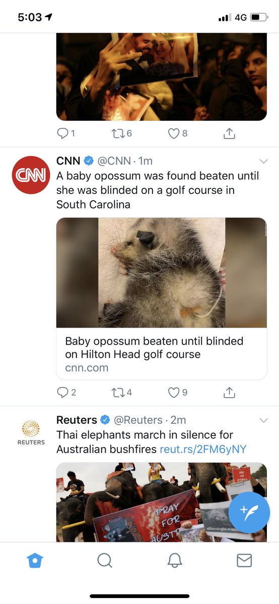 low_unique's tweet image. This opossum is #LOL nothing short of a good example of what it means to be a Legend of Life, surviving and reminding others that you will get caught for that kind of #abuse #wwf #greenpeace #environment