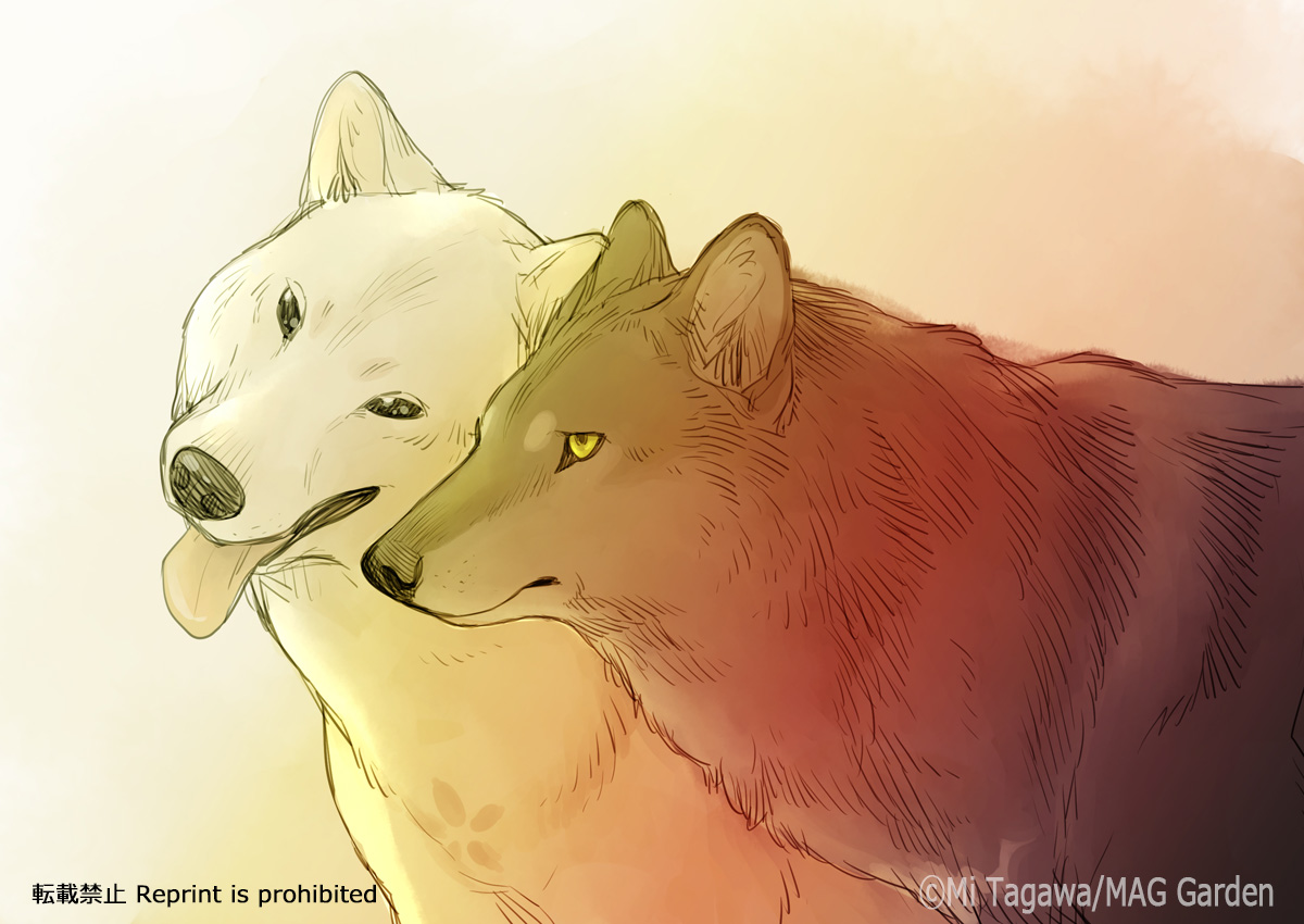 田川ミ こり4巻発売中 仲良しリアル狼と犬 こりせんまん