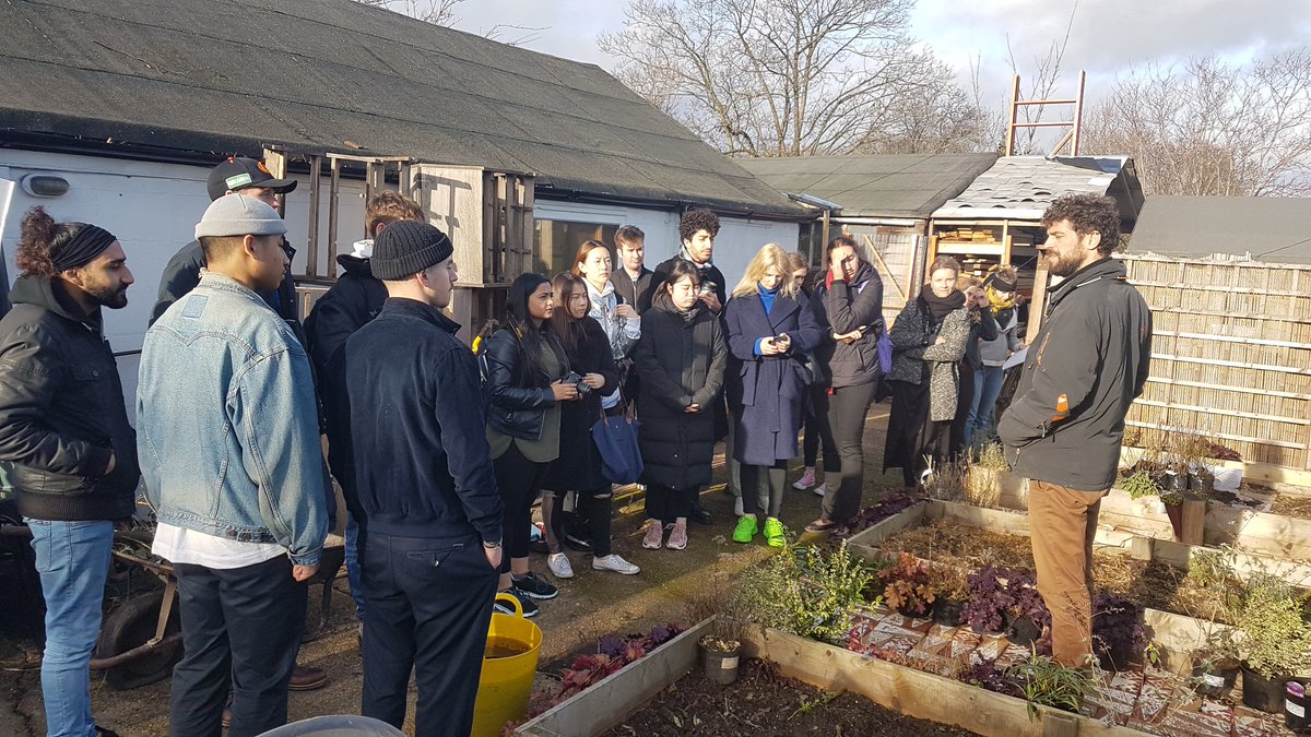 SHEDx  Growing Ideas tweet media