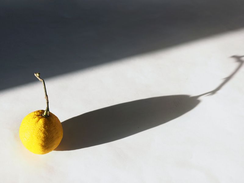 田中希美男 tweet media