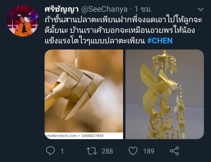 sinew✹ tweet media