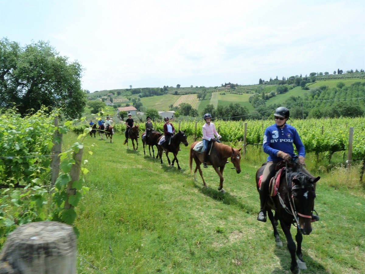 InfoLasomma's tweet photo. We had some great reviews for our very popular horse riding holidays in 2019, and will be working hard to ensure that we have even more happy and satisfied guests in 2020!
https://t.co/iWc7VNQ8fl https://t.co/vpaTrSth6U https://t.co/RCFCSGVtbW