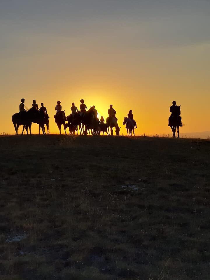 InfoLasomma's tweet photo. We had some great reviews for our very popular horse riding holidays in 2019, and will be working hard to ensure that we have even more happy and satisfied guests in 2020!
https://t.co/iWc7VNQ8fl https://t.co/vpaTrSth6U https://t.co/RCFCSGVtbW