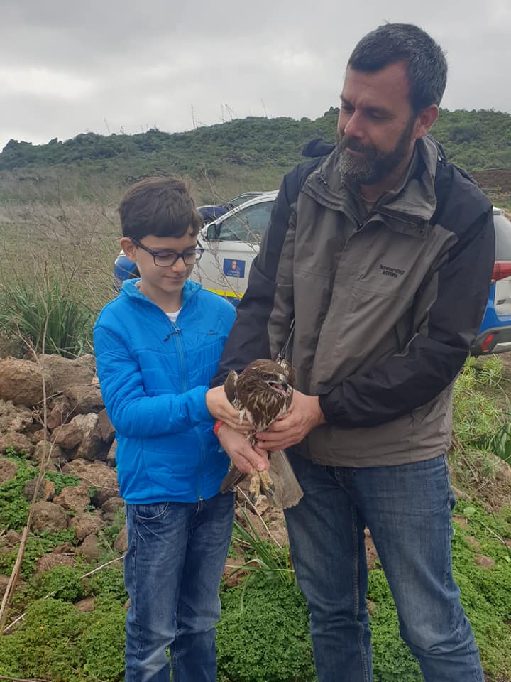 NC_CabildoGC's tweet photo. I Jiménez consj de @GranCanaria_M_A :"En #CentrodeFaunadelCabildo hemos recuperado a la #aguililla de la familia buteo buteo,encontrada por Pedro y su hijo Pablo en #Rosiana en muy mal https://t.co/eDSmCoHuGh bautizamos con nombre del lugar en que fue encontrada y ya vuela libre" https://t.co/8wX4ZPtOOd
