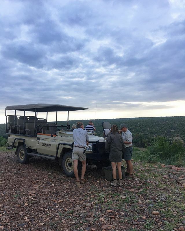 NewcoAgency's tweet photo. .
Coffee break ☕️ .
.

#safarisouthafrica #break #cafe #cafelife #caffeine #coffee #coffeeaddict #coffeelove #coffeelover #coffeelovers #coffeeoftheday #drink #instacoffee https://t.co/lsJgAZKVVK https://t.co/mFm0WrhI7a