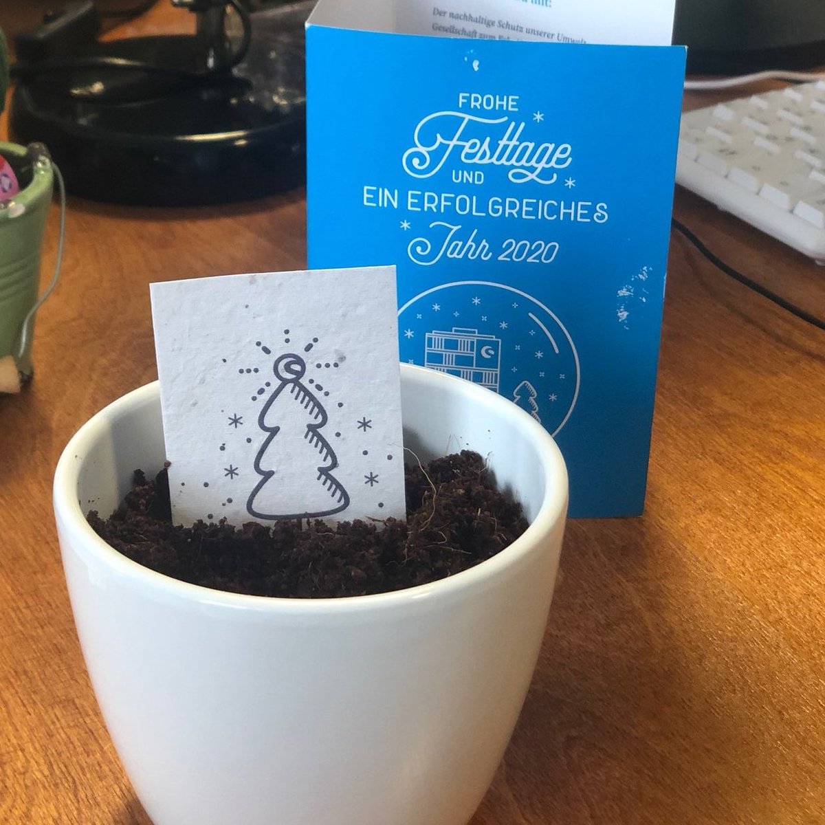 portrinoDresden's tweet photo. Zu Weihnachten gab es von @Shopware ein kleines Bäumchen zum Selberpflanzen. Im Rahmen der Aktion #treecommerce wird für jedes eingepflanzte Samenpapier ein neuer #Baum gepflanzt. Da sind wir doch gerne dabei! https://t.co/AsbEjKvnk9