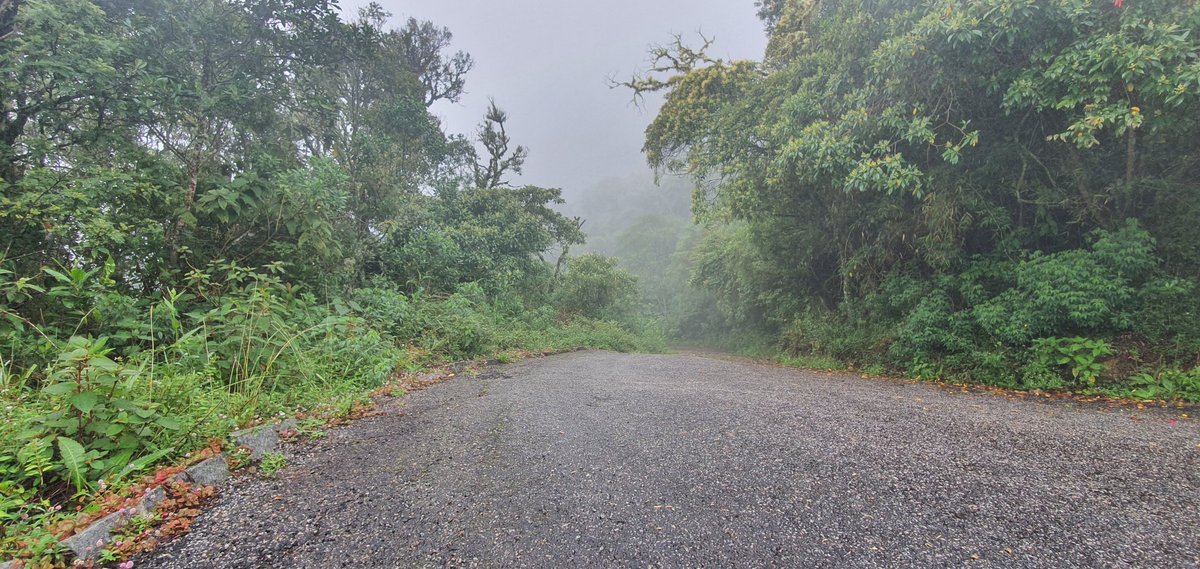 elbrinner's tweet image. Creo que por fin, me he desconectado del trabajo por completo. El miércoles vuelvo al trabajo con muchas ganas. Para arrancar tenemos preparado un meetup el día 16 y otro el 22 en #MsCoders y #XamarinMadrid