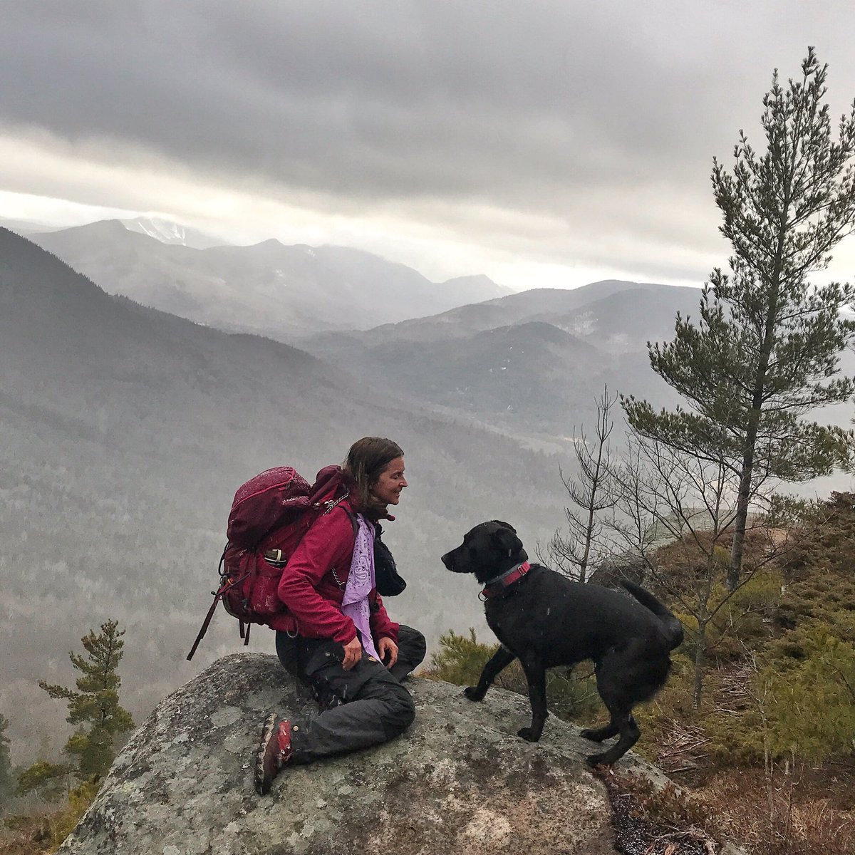 kelhiker's tweet photo. Snowless summits in January. ☹️ #bringwinterback #adirondacks @VisitAdks @adklifemag @outdooradvocacy https://t.co/GiJ91NhbrO