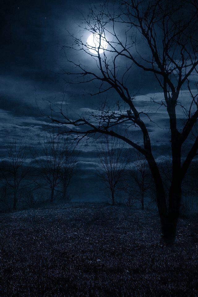 #mindfulnessmonday 

All the complicated details 
of the attiring and 
the disattiring are completed! 
A liquid moon 
moves gently among 
the long branches. 
Thus having prepared their buds 
against a sure winter 
the wise trees 
stand sleeping in the cold. 

W. C. Williams