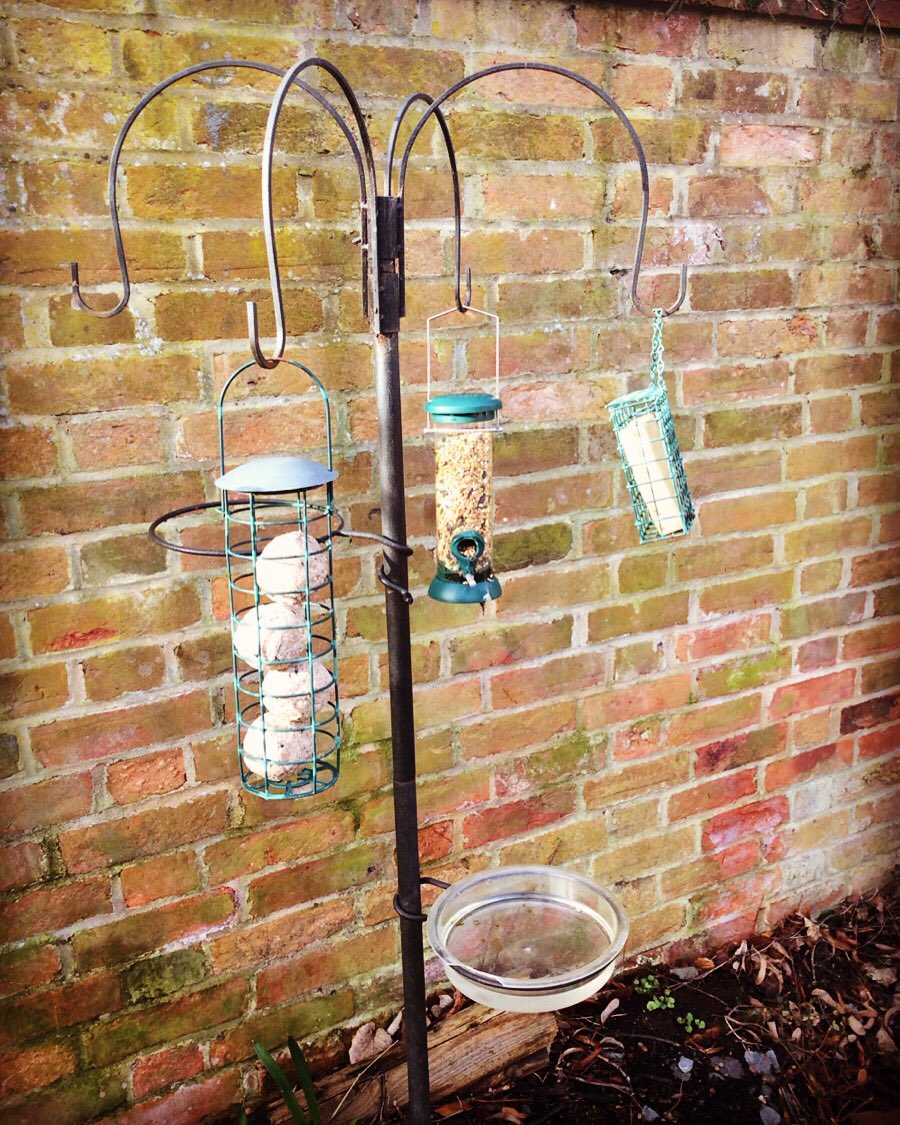 oxfordhighprep's tweet photo. 2020 has started off with a revamped #birdfeeder @OhsSchool We will have a fantastic view of visiting birds from the #science room #birdwatching #naturelovers https://t.co/UTKxgbc2sB