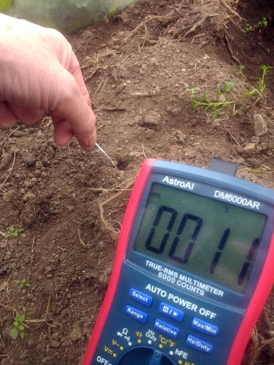 In this weeks #inishowenindependent  "Testing soil temperature for seed sowing wasn’t always scientific. It wasn’t too long ago that farmers would test the soil temperature by pulling down their pants and putting their bare bums on the soil ..read more...
inishindiegardenmatters.blogspot.com/2020/01/testin…