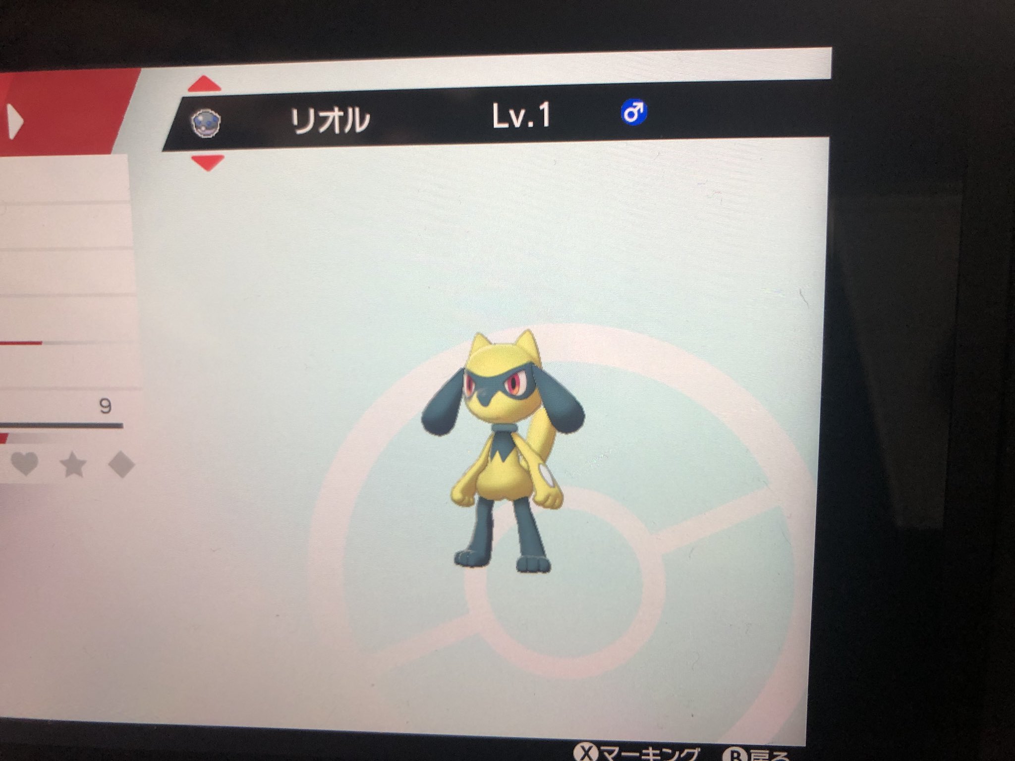 おっおー 3v控えめリオルの色違い何ですけど誰か他の色違いと交換してくれませんか ポケモン剣盾交換 ポケモンソードシールド T Co Uk2jvewuwt Twitter